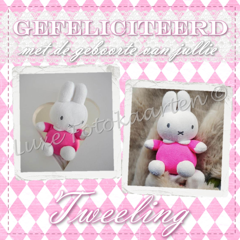 Geboorte Tweeling - 2 dochters